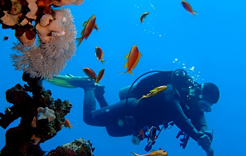 Full-Day Scuba Diving Expedition