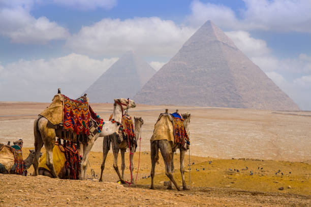 Cairo & Giza Pyramids