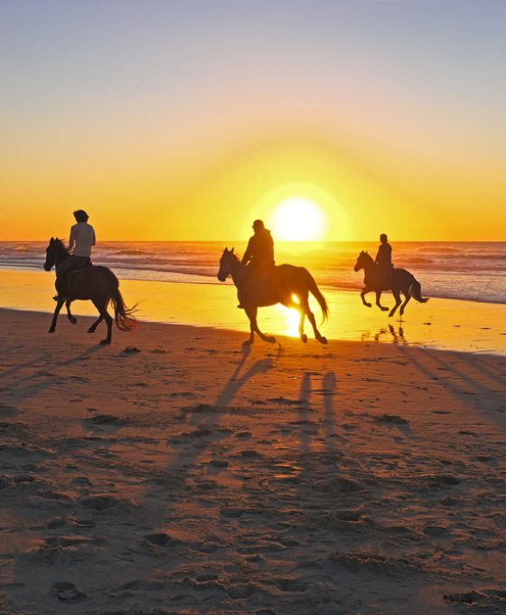 Horse,Riding,On,The,Beach,At,Sunset